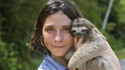 A Sloth Named Velcro Bild 1