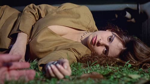 Teufelstanz der Lust Bild 2