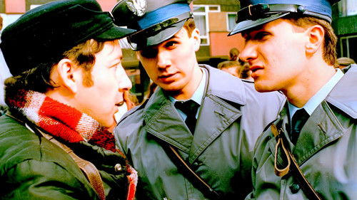 Ein Wendehals Bild 3