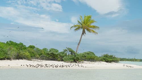 Marlon Brando: Im Paradies Bild 2