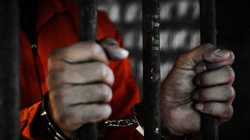 Cellmate Secrets Bild 2