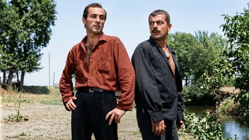 Çelik Bilek Bild 2