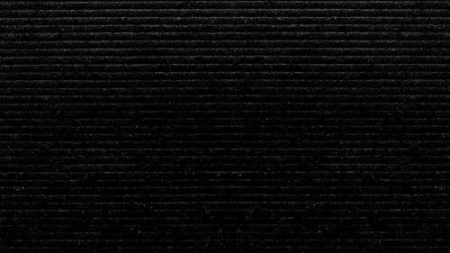 Celebrity Substitute Bild 2