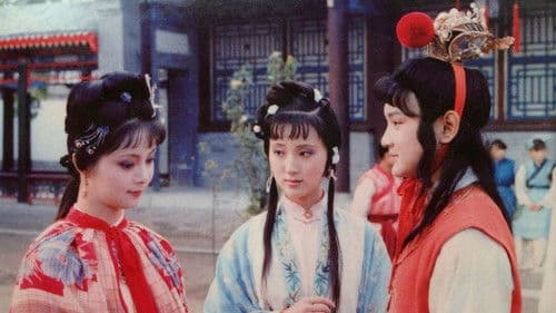 金玉良緣紅樓夢 Bild 3