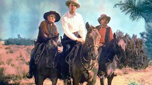 Where Trails Divide Bild 1