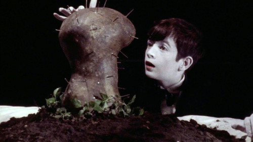 The Grandmother Bild 5