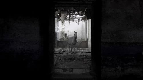 Historia antigua del cine España Bild 3