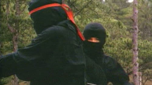 Ruckus 2 - Unternehmen: Condor Bild 1