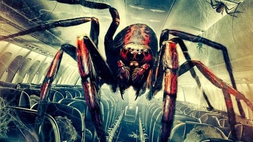 Spiders on a Plane Bild 2