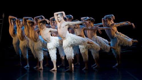 Swan Lake - Schwanensee - Matthew Bourne Bild 2