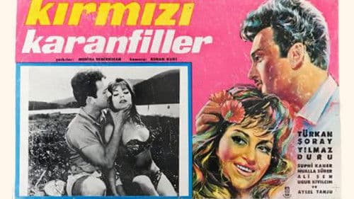 Kırmızı Karanfiller Bild 4
