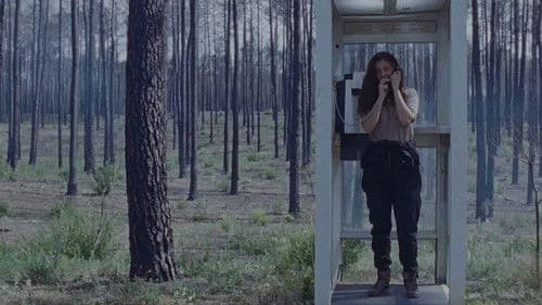 Amor Quântico Bild 3