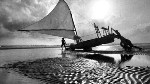 It's All True Bild 1