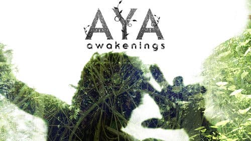 Aya: Awakenings Bild 1