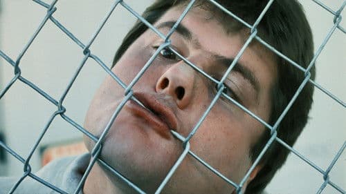 Surf II: The End of the Trilogy Bild 8