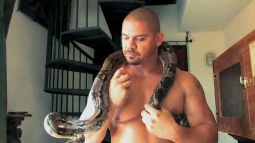 The Butch Factor Bild 1