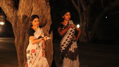 டார்ச்லைட் Bild 4