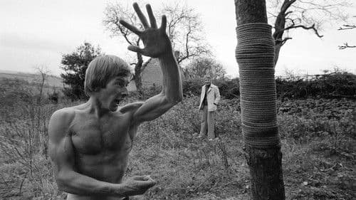 Robin Redbreast Bild 2