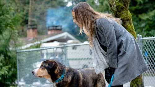 Love at First Bark Bild 7