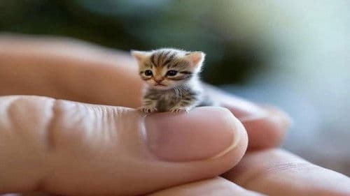 Florentina's Workout Naif Bild 1