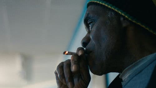 Harder Than the Rock: The Cimarons Story Bild 6