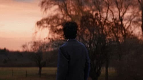 The Blue Suit Bild 8