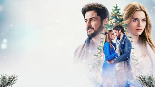 Eine zweite Chance an Weihnachten Bild 5