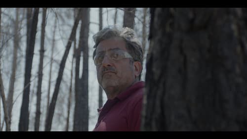 סוקצסיה Bild 5