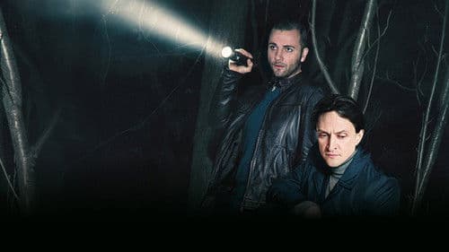 Чёрное солнце Bild 3