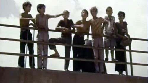 Les Moineaux d'Algérie Bild 3