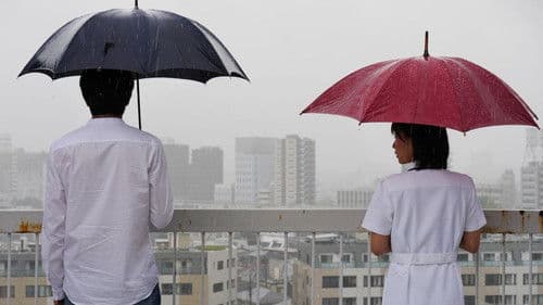 君にあえたら 妻の恋人 Bild 1