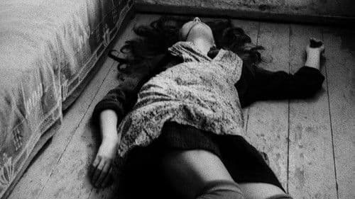 Démanty noci Bild 7