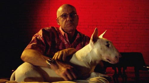 James Ellroy : american dog Bild 2