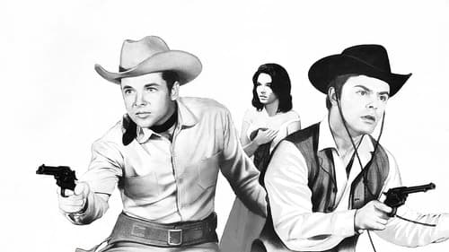 Die gnadenlosen Vier Bild 2