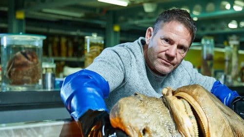 Shark with Steve Backshall Bild 2