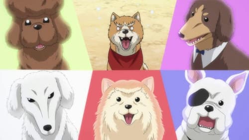 Oda Shinamon Nobunaga Bild 3