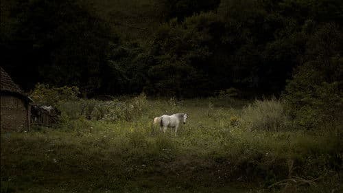 Hymn from the Hive Bild 2