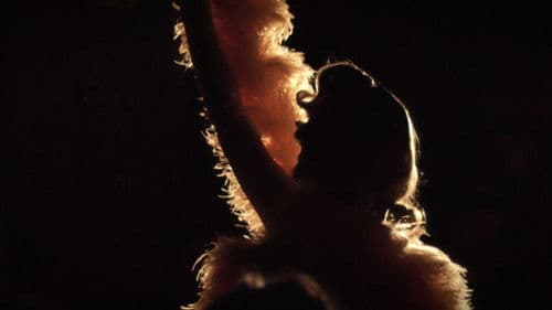 Les burlesqueuses Bild 2