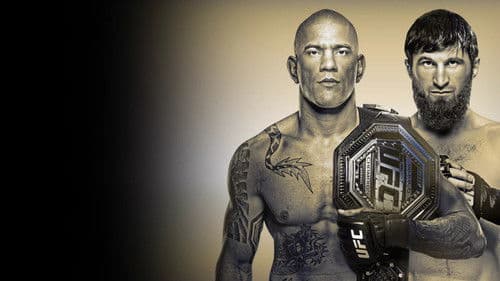 UFC 313: Pereira vs. Ankalaev Bild 3