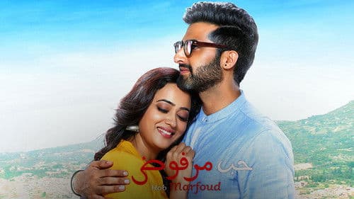 Hum Tum and Them Bild 3