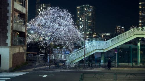 四月になれば彼女は Bild 3