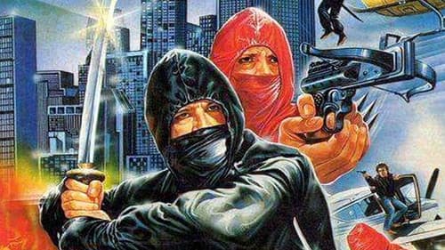 Ninja Terminator Bild 4