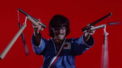 ザ・カラテ2 Bild 1