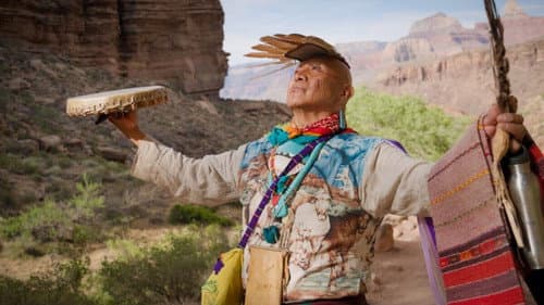 We Are Grand Canyon Bild 1