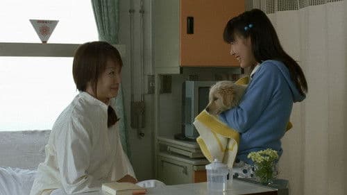 犬と私の10の約束 Bild 4
