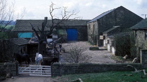 Die Follyfoot-Farm Bild 2