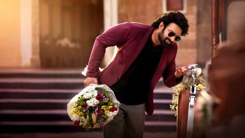 The Raja Saab Bild 1