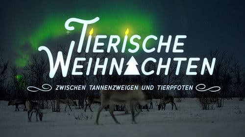 Tierische Weihnachten - Zwischen Tannenzweigen und Tierpfoten Bild 1