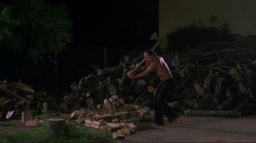 Der gezähmte Widerspenstige Bild 6