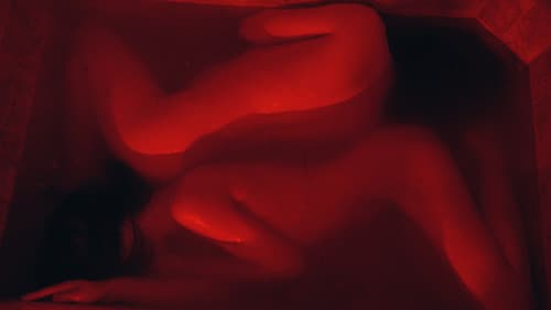 Love You Forever Bild 1